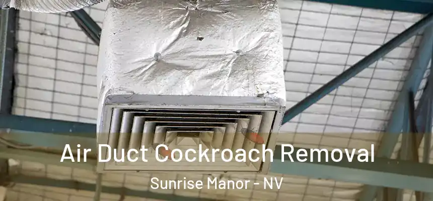 Air Duct Cockroach Removal Sunrise Manor - NV