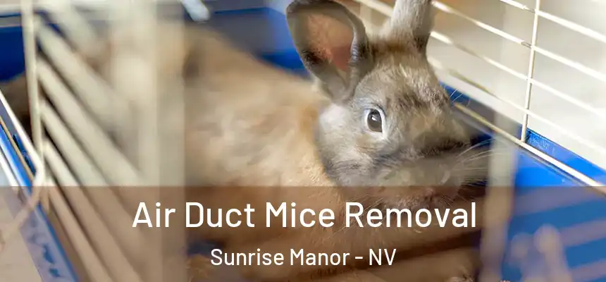 Air Duct Mice Removal Sunrise Manor - NV