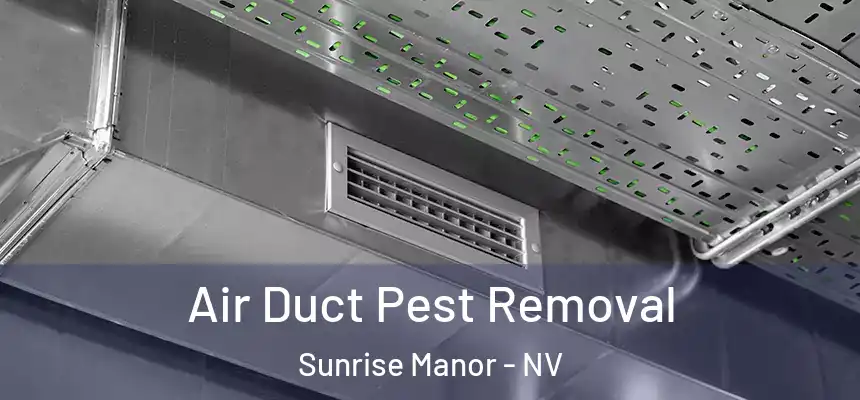 Air Duct Pest Removal Sunrise Manor - NV