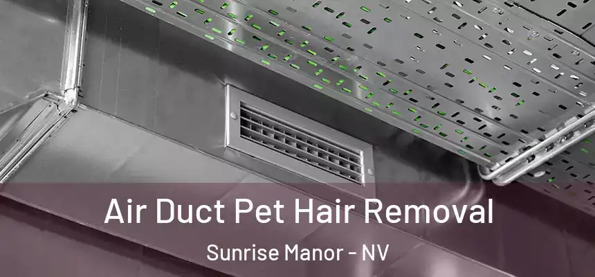 Air Duct Pet Hair Removal Sunrise Manor - NV