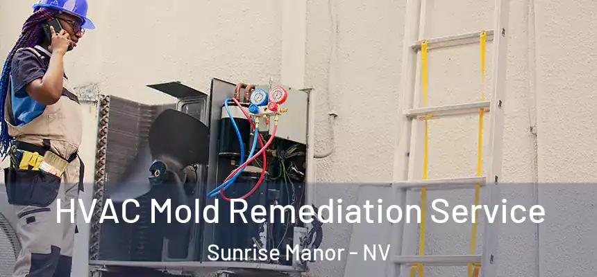 HVAC Mold Remediation Service Sunrise Manor - NV