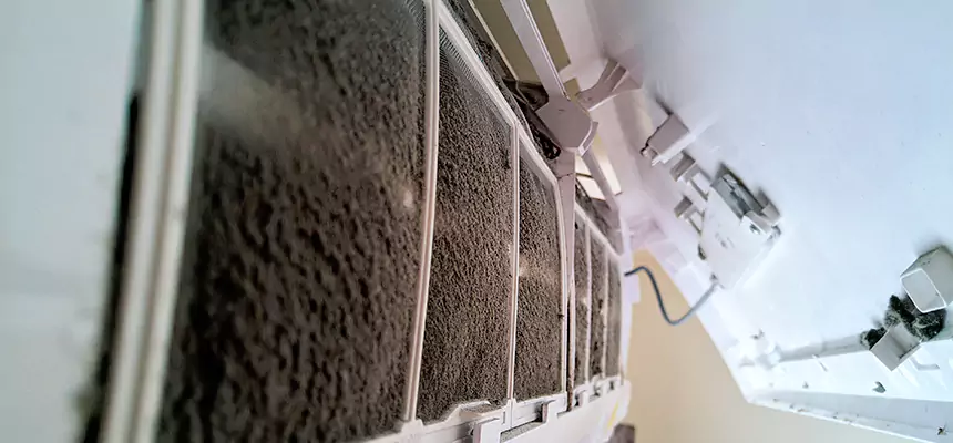 Preventive Air Duct Bacteria Removal in Sunrise Manor