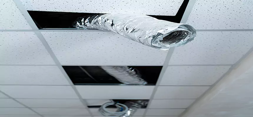 Affordable HVAC Sanitizing After Pest Removal in Sunrise Manor