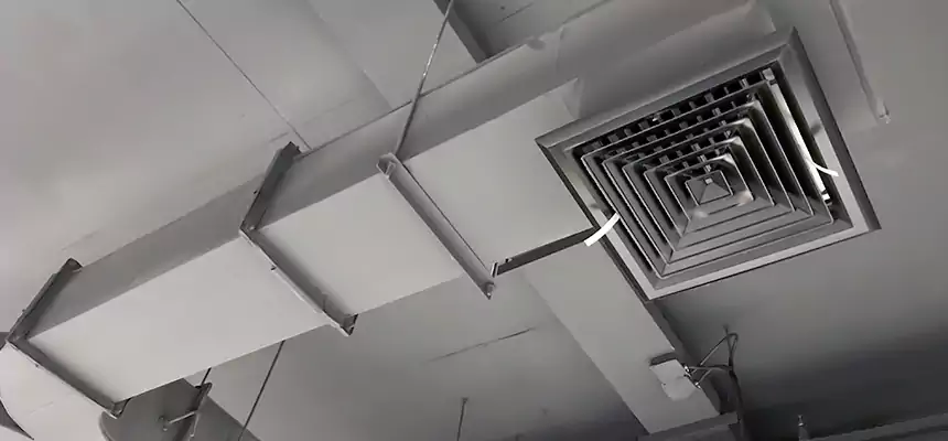 Restorative Allergy Relief Vent Cleaning – Coil, Blower & Housing Detail in Sunrise Manor