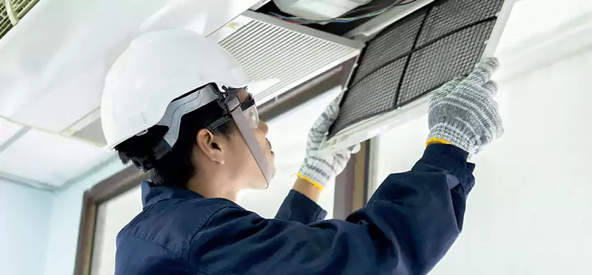 Our Mold & Mildew Removal from Air Ducts Services in Sunrise Manor, NV