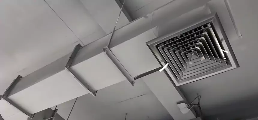 Our Pest Removal From Ducts Services in Sunrise Manor, NV