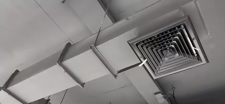 Our Rodent Droppings In Vents Services in Sunrise Manor, NV