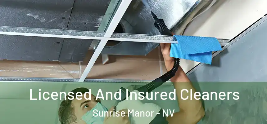 Licensed And Insured Cleaners Sunrise Manor - NV