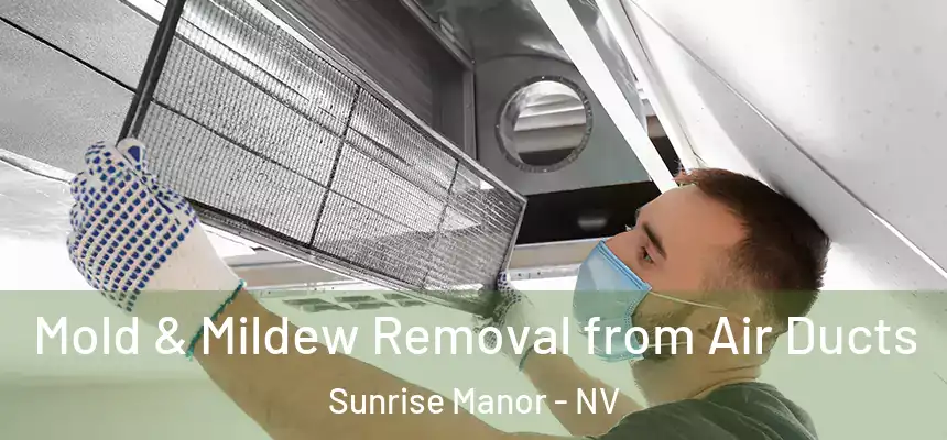 Mold & Mildew Removal from Air Ducts Sunrise Manor - NV