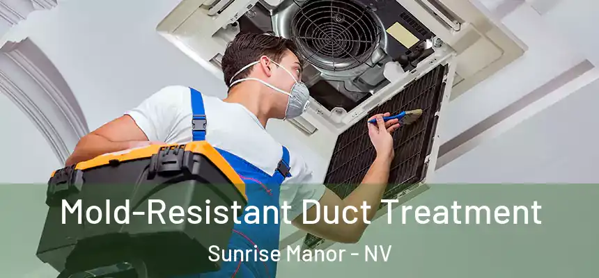  Mold-Resistant Duct Treatment Sunrise Manor - NV