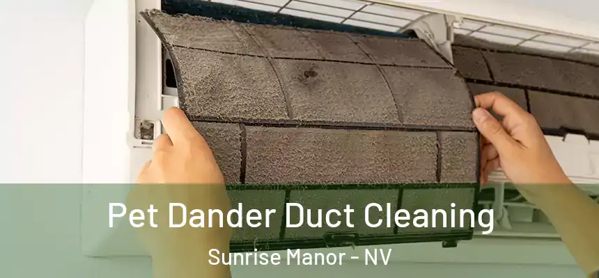 Pet Dander Duct Cleaning Sunrise Manor - NV