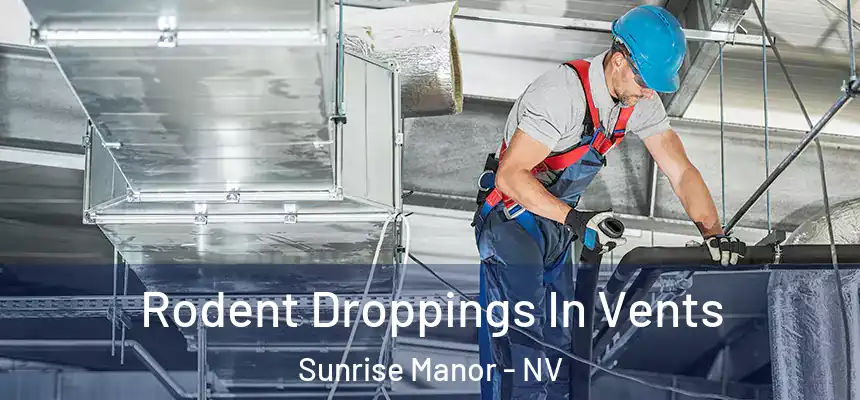 Rodent Droppings In Vents Sunrise Manor - NV
