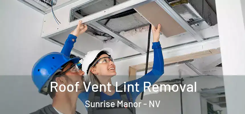 Roof Vent Lint Removal Sunrise Manor - NV