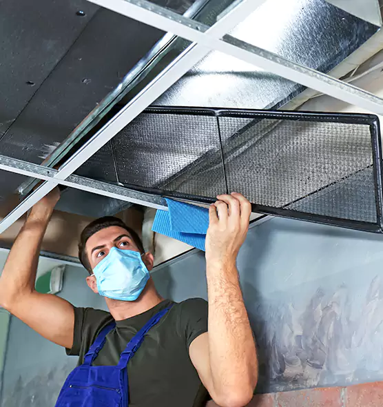 Professional Air Duct Pollen Cleaning in Sunrise Manor, NV
