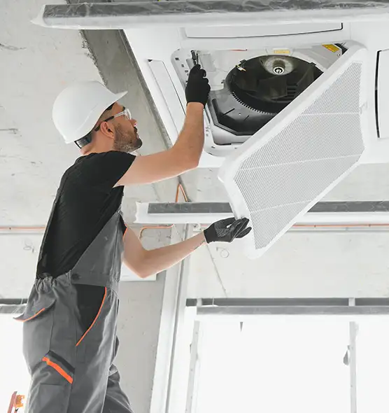 About Air Duct Rodent Removal in Sunrise Manor, NV