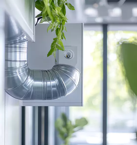 Professional Eco-Friendly Duct Cleaning Services in Sunrise Manor, NV