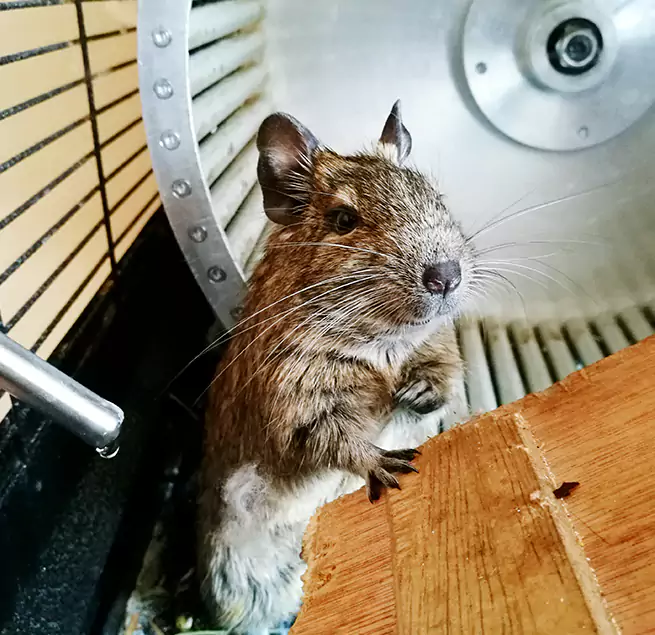 Why Homeowners & Businesses Trust Us Sunrise Manor, NV