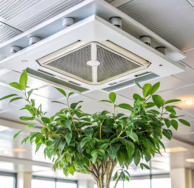 Why Homeowners & Businesses Trust Us in Sunrise Manor, NV?