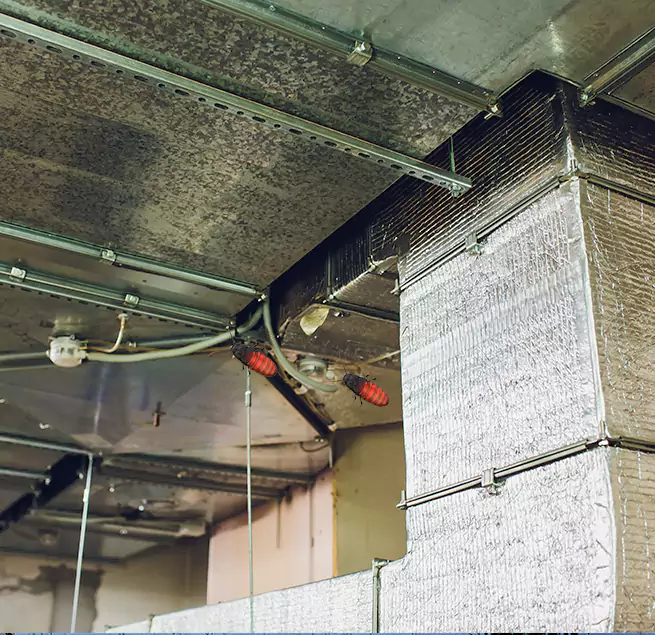 Why Homeowners & Businesses Trust Us Sunrise Manor, NV?