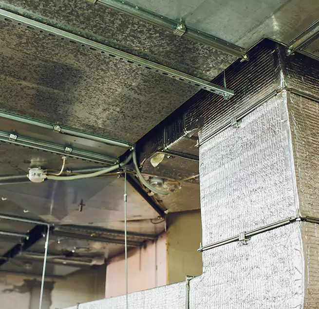 Why Homeowners & Businesses Trust Us in Sunrise Manor, NV?