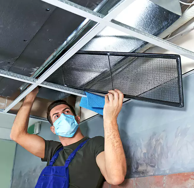 Why Homeowners Businesses Trust Us in Sunrise Manor, NV